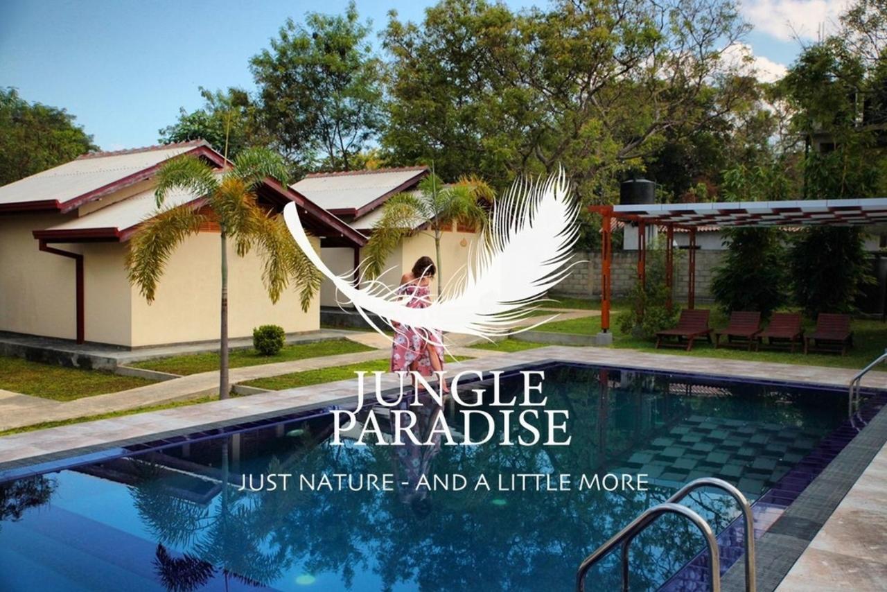Jungle Paradise *